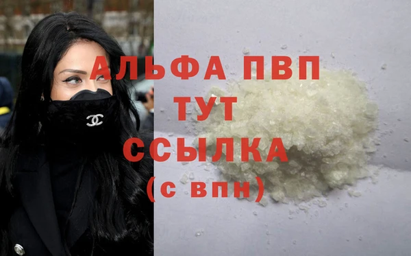 шишки Абаза