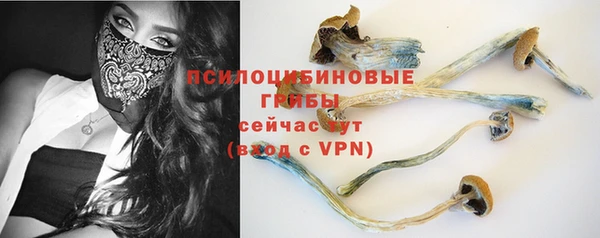 шишки Абаза