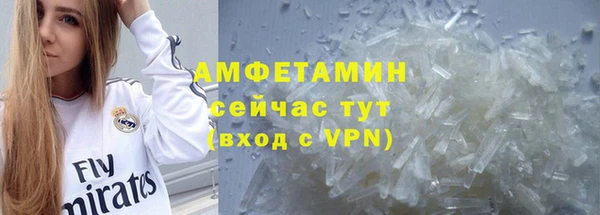 шишки Абаза
