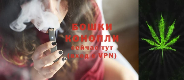 шишки Абаза