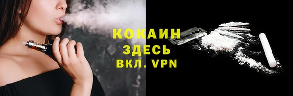 шишки Абаза