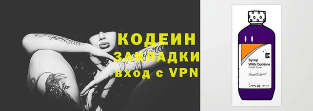 шишки Абаза