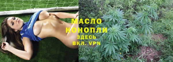 шишки Абаза
