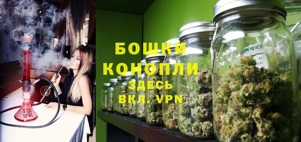 шишки Абаза