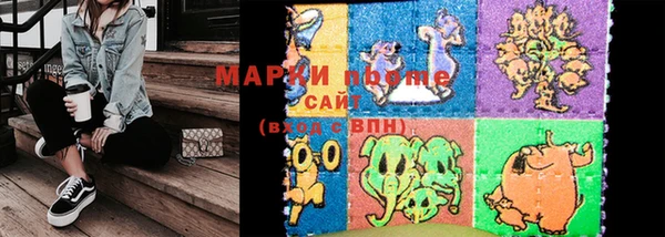 шишки Абаза