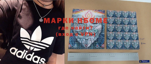 шишки Абаза