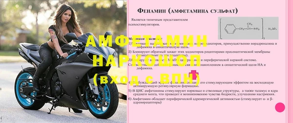 шишки Абаза