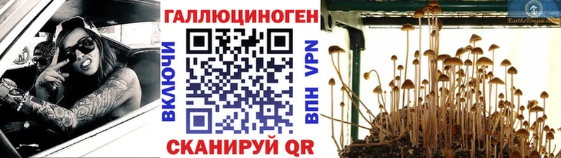 наркошоп  Усолье-Сибирское  Галлюциногенные грибы мухоморы 