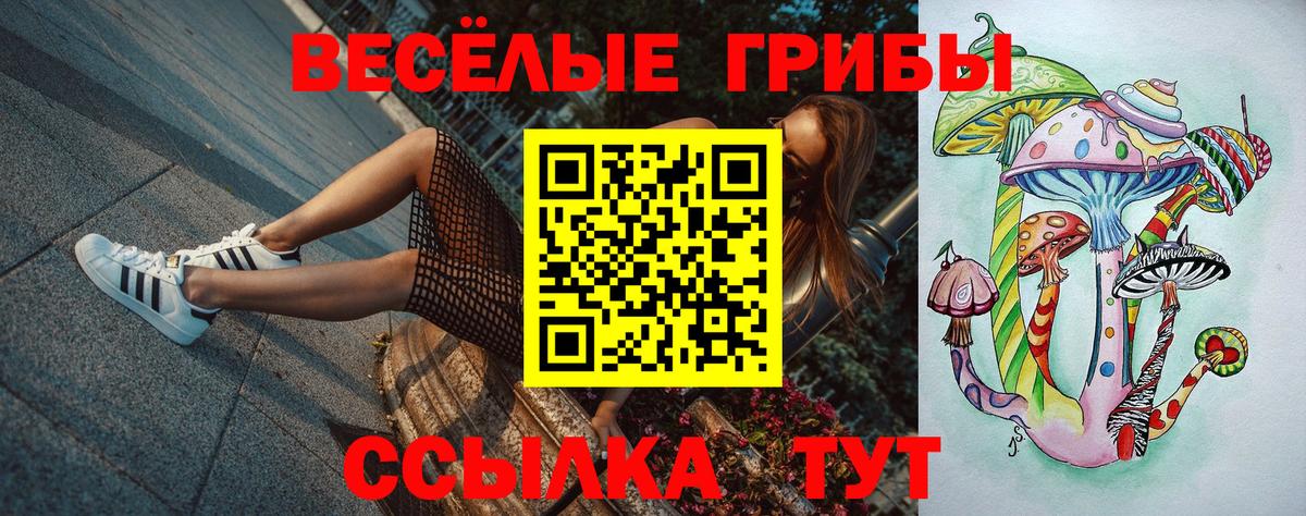 Псилоцибиновые грибы Psilocybe  Вход с VPN  Усолье-Сибирское 